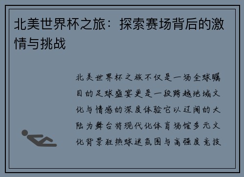 北美世界杯之旅：探索赛场背后的激情与挑战